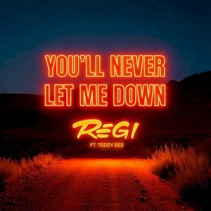 You'll Never Let Me Down (Single)