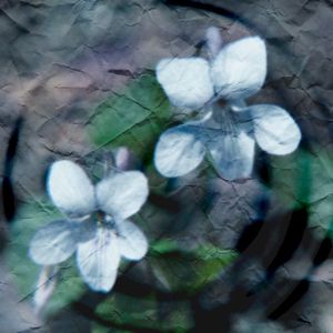 てがみ (Single)