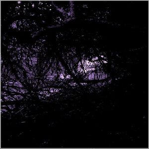 Untitled (2006)
