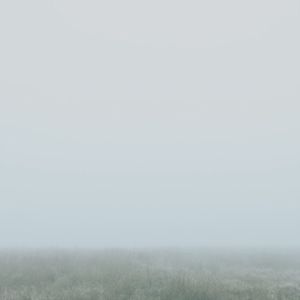 Landscape in Asleep
