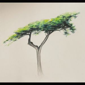 When the Wind Blew Through Your Branches (EP)