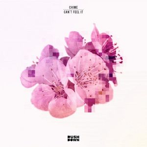 Can't Feel it (Single)