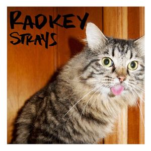 Strays (Single)
