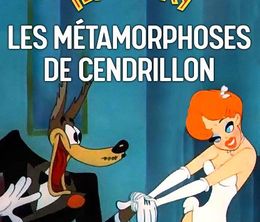 image-https://media.senscritique.com/media/000022683629/0/la_metamorphose_de_cendrillon.jpg