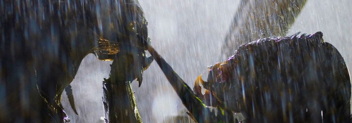 Cover Aliens vs. Predator - Requiem