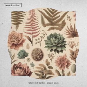 Distant Lands (Single)