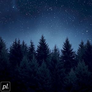 lost in the evergreens (Single)