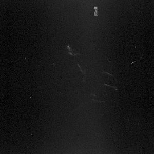 나폴리탄 악몽 산책