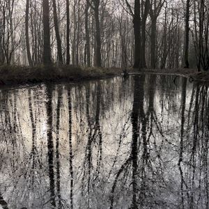 The Deep Cut (Single)