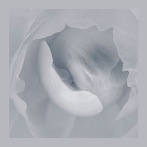 The Fabric of Silence (EP)