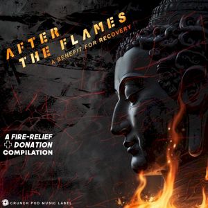 After the Flames: A Benefit for Recovery - A Donation Compilation