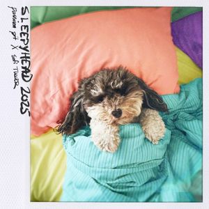 Sleepyhead 2025 (Single)