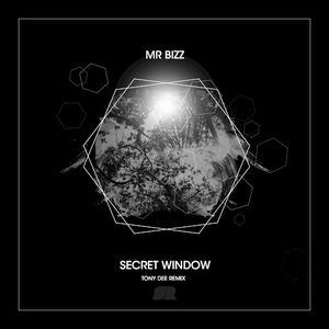 Secret Window (Single)