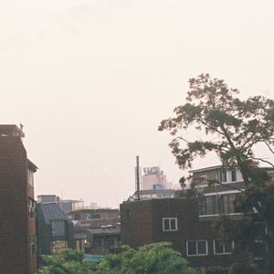 open window (Single)