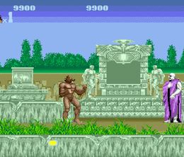 image-https://media.senscritique.com/media/000022691681/0/altered_beast.jpg