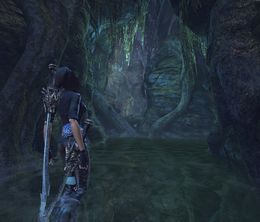image-https://media.senscritique.com/media/000022691832/0/blades_of_time_dismal_swamp.jpg