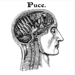 Puce