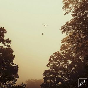 Morning Dove (Single)