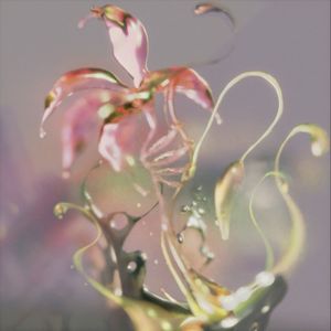 overflow (Single)