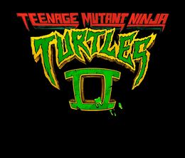 image-https://media.senscritique.com/media/000022695466/0/ninja_turtles_teenage_years_2.jpg
