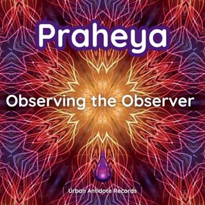 Observing the Observer (Single)