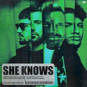 She Knows (with Akon) [Piero Pirupa remix]