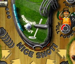 image-https://media.senscritique.com/media/000022698784/0/pinball_heroes.jpg