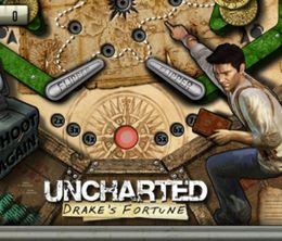 image-https://media.senscritique.com/media/000022698785/0/pinball_heroes.jpg