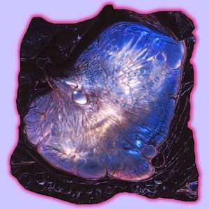 Push (VTQ Hardtechno flip)