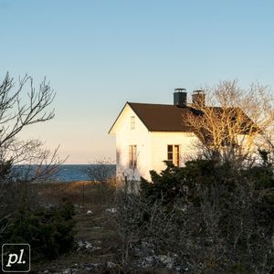 whistle (Single)