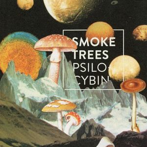 Psilocybin (Single)