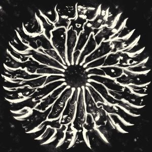 APTID (EP)