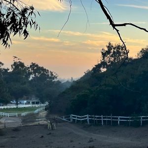 Burrow (Single)