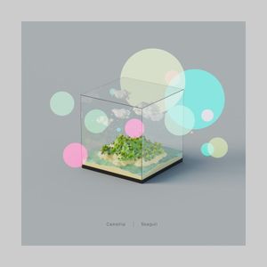 Seagull (Stereo ver.) (Single)