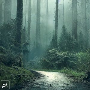 rainforest (Single)