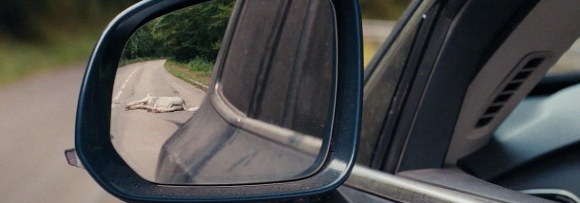 Cover Death of a Unicorn