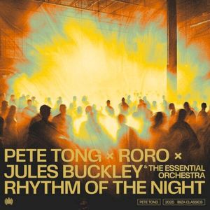 Rhythm of the Night (Single)
