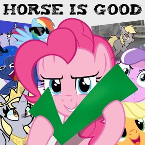 HORSE IS GOOD (Single)