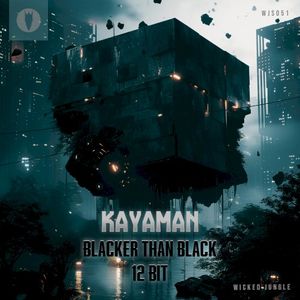 Blacker Than Black / 12 Bit (Single)