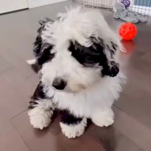 left behind (Single)