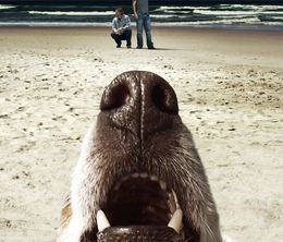 image-https://media.senscritique.com/media/000022713123/0/terriers.jpg