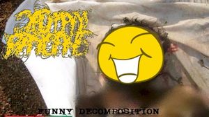Funny Decomposition (EP)