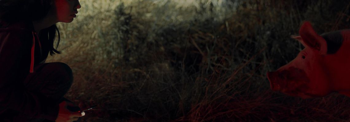 Cover You Are Not Me