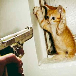 Worst Robbery (Single)