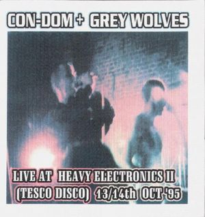 Live at Heavy Electronics II (Live)