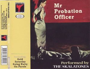 Mr Probation Officer (Single)