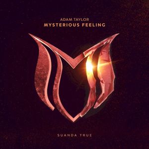 Mysterious Feeling (Single)