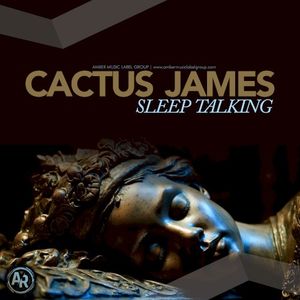 Sleep Talking (Single)