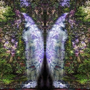 Antibodi (Single)
