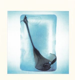 Wadada (EP)